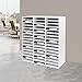 Literature Organizer, 48 Slots Countertop Mail Sorter Organizer PVC Student Mailbox Paper Bill Holder File Letter Sorter Shelf Compartment Shelf Holder for Office Home Classroom (White, 48 Slots)