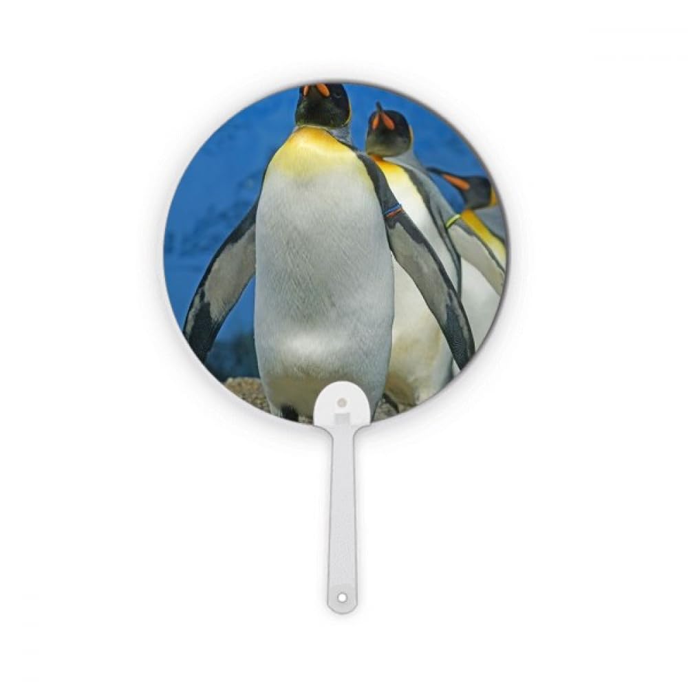 Éventail portable pingouins Antarctique image science nature plastique rond