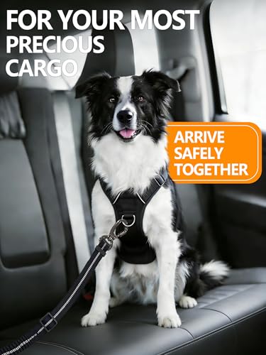 TRIPOLACO Hundegurt fürs Auto - Verstellbarer Anschnallgurt mit Rückdämpfung- Sicherheitsgurt mit ISOFIX Anschluss für Alle Hunderassen & Autotypen