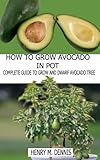 HOW TO GROW AVOCADO TREE IN POT: Comprehensive Guide to Grow and Dwarf Avocado Tree