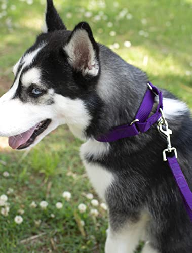 Country Brook Petz - Purple Martingale Heavy Duty Nylon Dog Collar - 21 Vibrant Color Options (3/4 Inch Width, Small) #TOP2