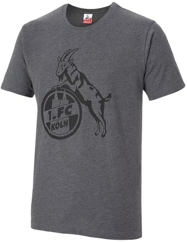 1.FC Köln T-Shirt Basic Anthra Gr. XL