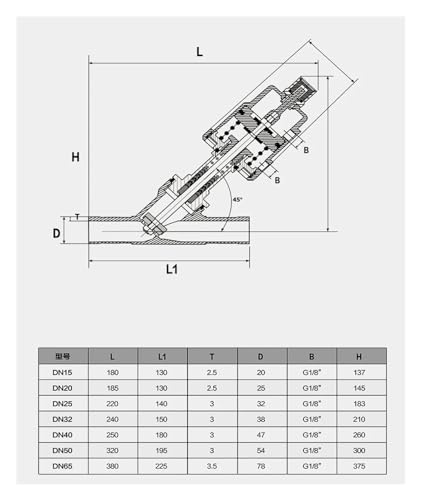 Vanne de siège d'angle pneumatique à piston incliné avec actionneur normalement fermé DN25 - 5