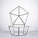 NCYP Modern Clear Glass Jewelry Box with Swing Lid, Geometric Pentagon Shape Terrarium for Succulent Fern, Garden Display Planter Tabletop Decor Centerpiece Container (NO Plants)