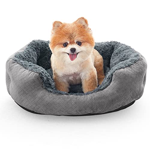 Lit rond pour chat ou petit chien - Lit pour chat d'intérieur ou petit chien - Taille M (63,5 x 50,8 x 22,9 cm) - Gris Cover