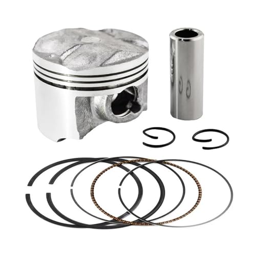 oCNANZT[ sXgO tLbg FZR250RR ZEA250 3LNp(Piston Kit 48.5mm)