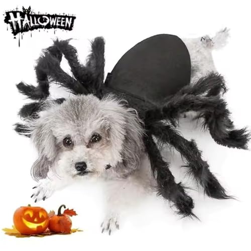 Halloween Spinnenkleidung für Hunde und Katzen Spinnenkostüme Verkleidung Kleidung für Haustiere Halloween Requisiten für Haustiere Party Kleidung Accessoires (XL)