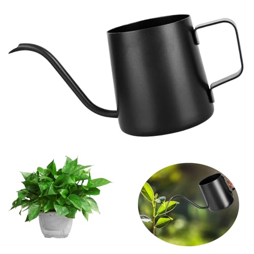NCCHDZSW Gießkanne Klein Zimmerpflanzen 250 ML Mini Gießkanne Schwarz Edelstahl Garten Gießkanne Rostfrei Klein Gießkanne für Zimmerpflanzen Sukkulenten