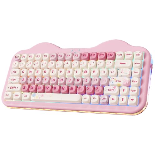 YUNZII C75 CX JjJL[{[h 75%CAEg zbgXbvΉ N[~[L[{[h NKRO PBT MOA L[Lbv RGBobNCg KXPbg}Eg P[LfUC BT5.0/2.4G/USB-C Wi