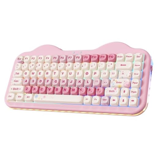 YUNZII C75 Wireless Mechanical Keyboard, 75% Layout Hot Swappable Creamy Keyboard NKRO, PBT MOA Keycaps RGB Backlit Gasket Mount, Cute Cake Design BT5.0/2.4G/USB-C (Pink, Candy Linear Switch)