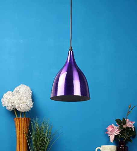 Image of DarkVision Corded Electric,Metal Hanging Pendant Light, Black (Copper (Pack of 1), with Bulb)