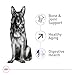 Royal Canin Size Health Nutrition Large Aging 8+ Senior Dry Dog Food, 30 lb Bag