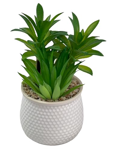 Image of Artificial Succulent Plant in White Ceramic Pot, Realistic Faux Greenery for Home Office Desk Tabletop Decor, Low Maintenance Long-Lasting Indoor Decorative Plant (B)