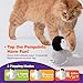 Kimee Interactive Cat Toy Rechargeable Automatic Chirping Penguin Bird Cat Toy Infused with Catnip in The Wings, Auto Beating Wings Kitten Toy for Indoor Cats to Play Alone, Never Boredom