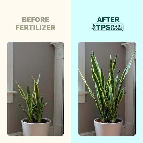 Fertilizante líquido para planta serpiente 8 oz miniatura 3