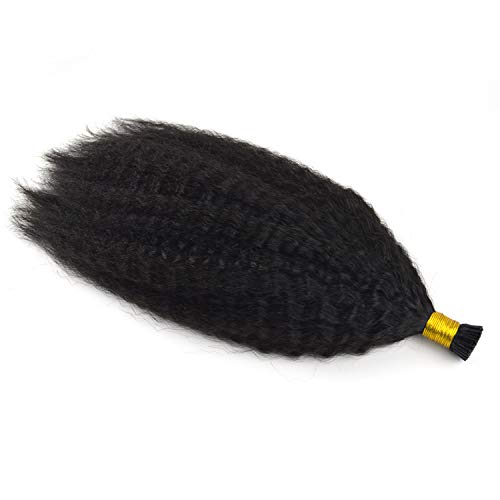 Afro kinky curly I Tip hair extension 100% human hair 1g/strand 100g natural color virgin hair (16, Natural Color)_AB