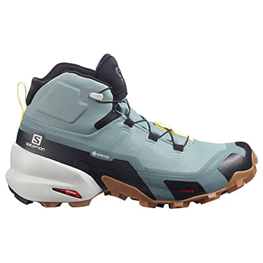 SALOMON Dam Cross Hike Mid GTX W