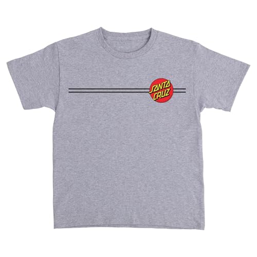 SANTA CRUZ Classic Dot S/S Midweight T-Shirt Sport Grey XL Y