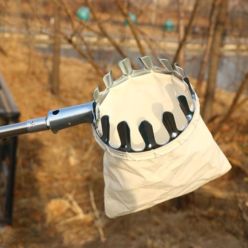 raccogli asparagi pinza frutta Strumento Per La Raccolta Della Frutta, Palo Allungabile Da 2.5 4 6 10 M Per La Raccolta Di Mele, Arance, Limoni E Pere Con Borsa A Cesto & Manico Lungo Telescopico Acci