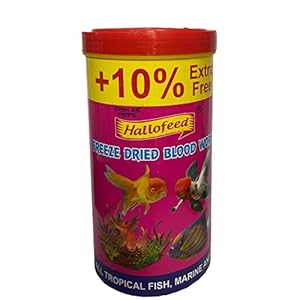 FishAsPets Hallofeed Freeze Dried Blood Worms|60 Gms (55 Gms + 10% Extra Free) 100% Natural Fish Food For All Aquarium Fishes For All Life Stages
