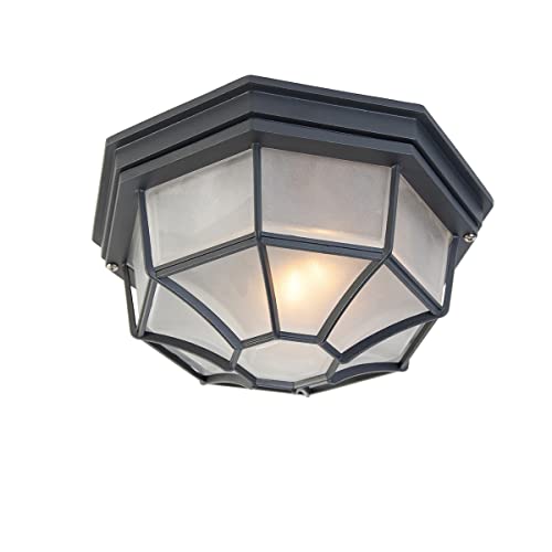 Qazqa - Landhaus I Vintage Landhaus Außen Deckenleuchte I Deckenlampe I Lampe I Leuchte dunkelgrau IP44 - Bri L. I Außenbeleuchtung - Aluminium Rund...