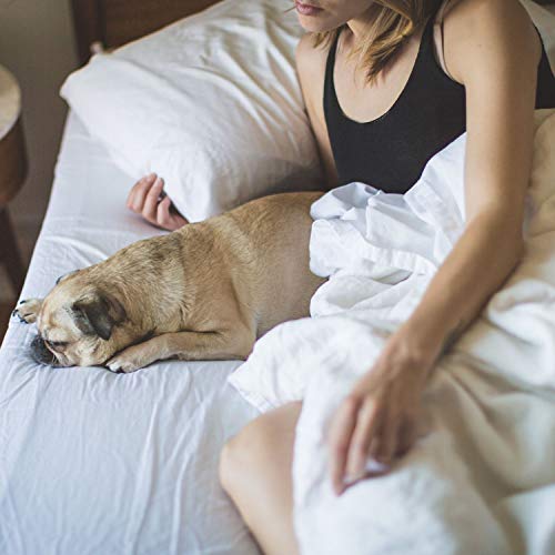 Play White Noise & Brown Noise for Babies Sleep by Noise Cancelling