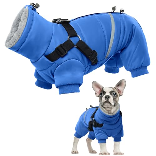 Hundemantel Wasserdicht, Warm Winterjacke für Mittlere Hunde Onesie Mantel mit Geschirr Winter Weste Jacke Hundepullover mit D-Rings(Blau, M)