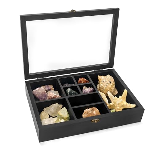 FramePro Rock Collection Box for Kids, Rock Display Case with Shelves, Wooden Display Case with Real Glass Lid for Rock, Onyx Storage, Crystal, Fossil, Artifact, Seashells (Black)