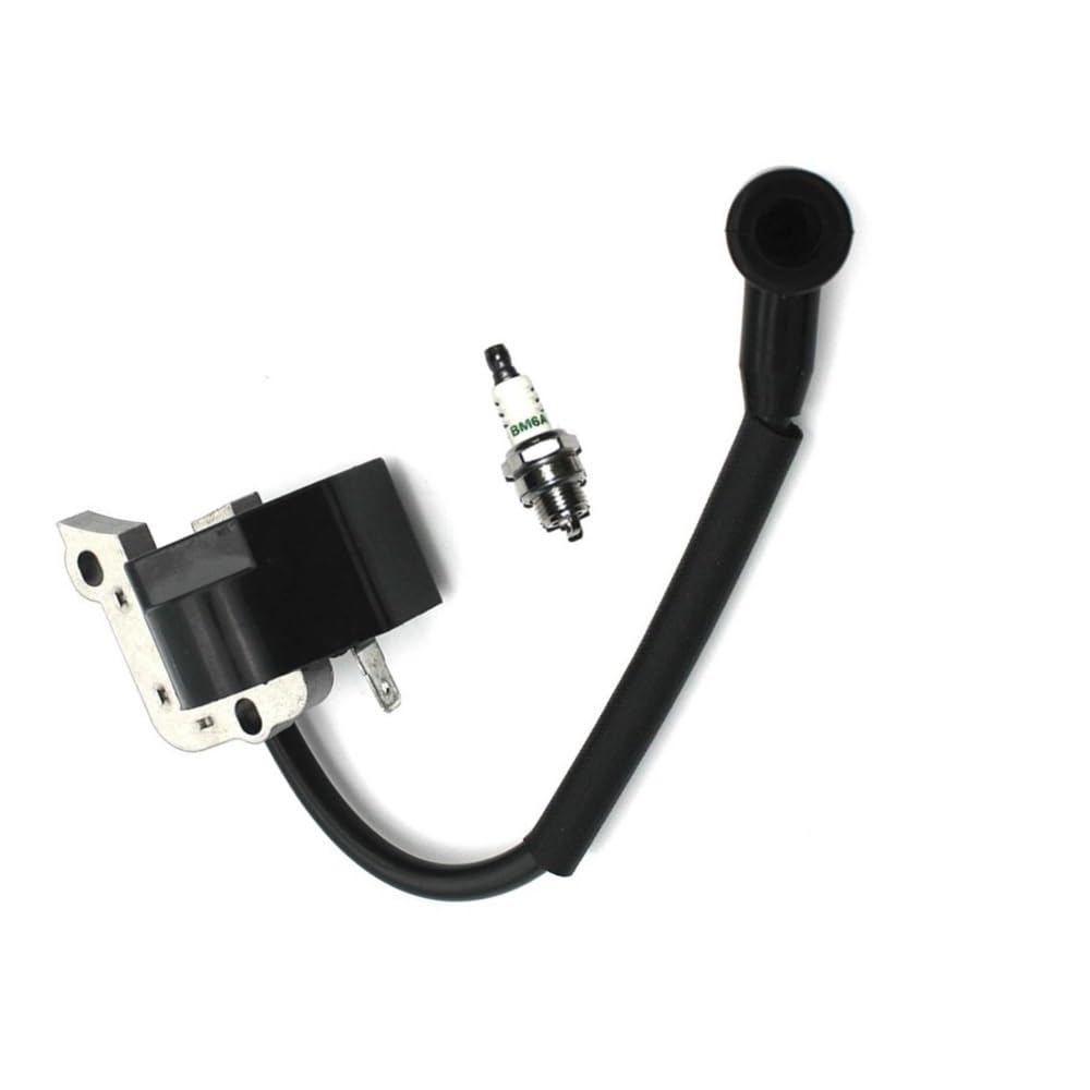 Bobine d'allumage haute performance pour modèles 280r 310BVr 700r MT700