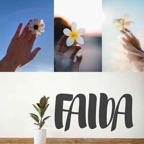  FAIDA