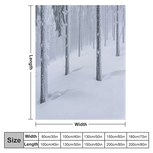 Couverture flanelle haut de gamme douceur microfibre - 3