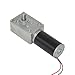 TSINY Small High Torque 12 Volt Reversible 35 RPM DC Worm Gear Motor for BBQ Drive Replacement
