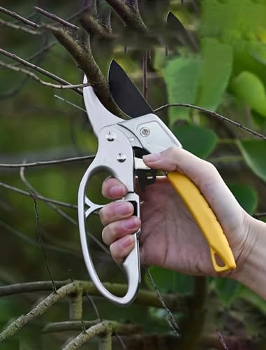Tijeras de podar con resorte para jardín miniatura 1