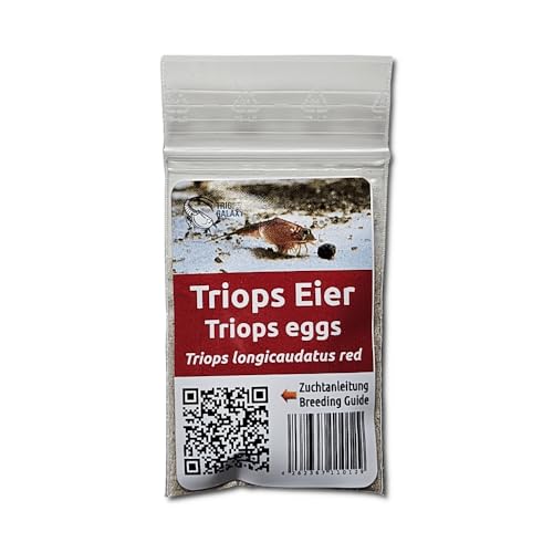 Triops Galaxy Triops longicaudatus rouge - Cancer préhistorique - Élevage de triops - Oeufs Triops avec instructions de l'élevage en français à...