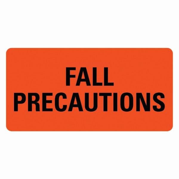 LabelValue.com | FALL PRECAUTIONS Medical Healthcare Labels 500-2