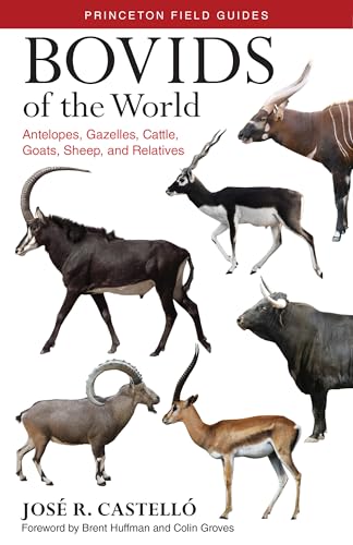Bovids of the World: Antelopes, Gazelles, Cattle, Goats, Sheep, and Relatives: 104 (Princeton Field Guides)