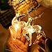 Produktbild 10 Lights LED Fairy lights Sika Deer Lamp Christmas Elk Lamp Garden Decoration IP42 Waterproof (3M 20lights)
