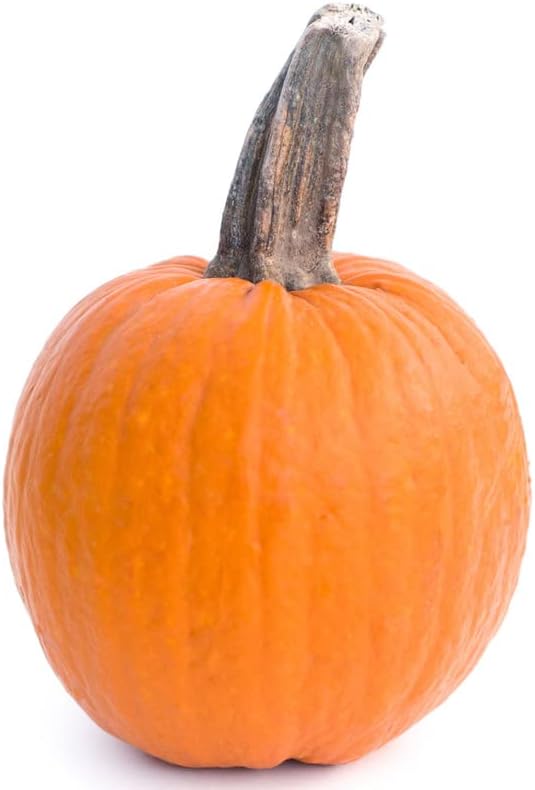 Pastel de calabaza y azúcar (20 semillas)