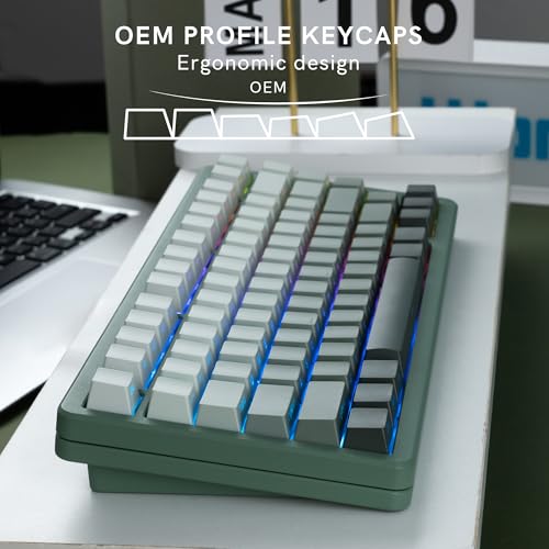 Image of dagaladoo Shine Through keycaps Set,Double Shot PBT keycaps Gradient | Side Print keyboard keycaps,OEM Profile custom Key caps for Mechanical Keyboards 60% 65% 75% 100% TKL Layout,Seaweed Green