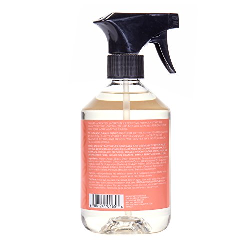 Caldrea Tangelo Palm Frond Countertop Spray Surface Cleaner 16 oz
