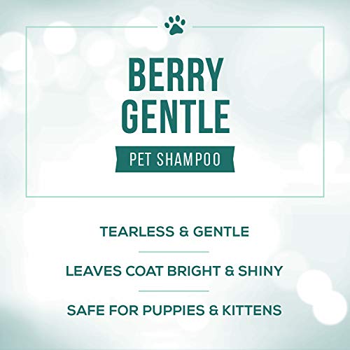 Nature’s Specialties Berry Gentle Ultra Concentrated Face and Body Wash for Pets, Makes up to 4 Gallons, Natural Choice for Professional Groomers, Gently Cleanses The Skin and Coat, Made in USA, 32 oz Nature’s Specialties Berry Gentle Ultra Concentrated Face and Body Wash for Pets, Makes up to 4 Gallons, Natural Choice for Professional Groomers, Gently Cleanses The Skin and Coat, Made in USA, 32 oz