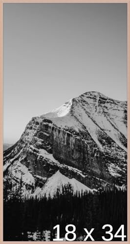 Frame It Easy 18 x 34 Rose Gold Metal Frame (Ashford)