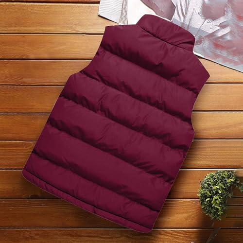 Colete esportivo masculino de inverno, sem mangas, com gola lisa, leve, quente, para trabalho, roupa