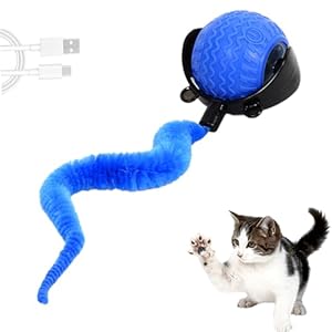 QILUCKY Speedy Tail Cat Toy, Interactive Toy for Indoor Cats, IMoving Cat Toy Ball with Tail, USB Rechargeable Smart Ball, 3 Mode Switching interactive ball, Relieve Anxiety (Blue)
