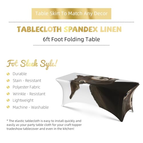 Nappe de table extensible élasthanne décorative pour repas de fête - 6