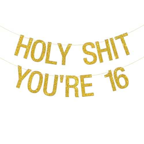 Holy Shit You're 16 Banner, Gold Glitter, Happy 16th Birthday Bunting Banner, Tennager Birthday, Funny 16th Birthday Party Decoration Supplies