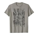 Pine Cone Pine tree