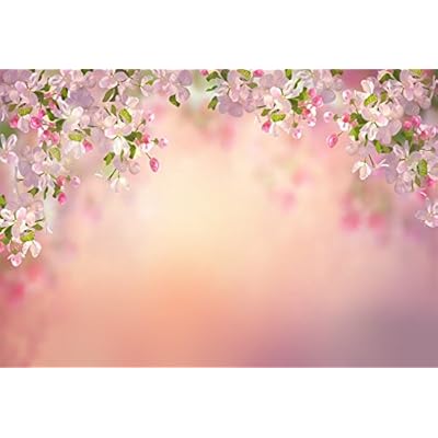 Erik va Edik yosh ayolni jinsiy aloqa uchun video suratga olishga vasvasaga solishdi