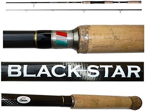 Canne pêche au brochet barracuda mer Black Star Spinning 3m 30/80g carbone