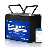 DC HOUSE 12V 100Ah Bluetooth